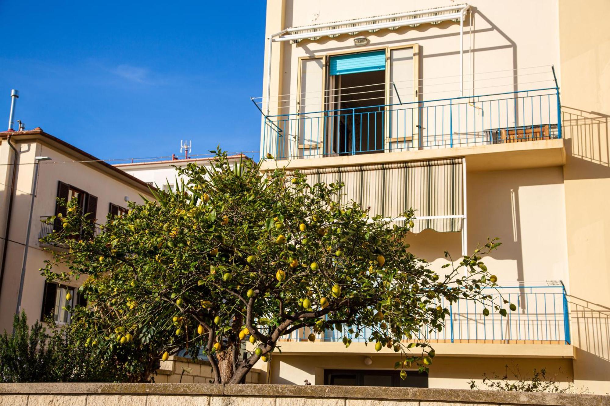 Appartamento Il Limone Zona Centrale Vista Mare ซานวินเชนโซ ภายนอก รูปภาพ